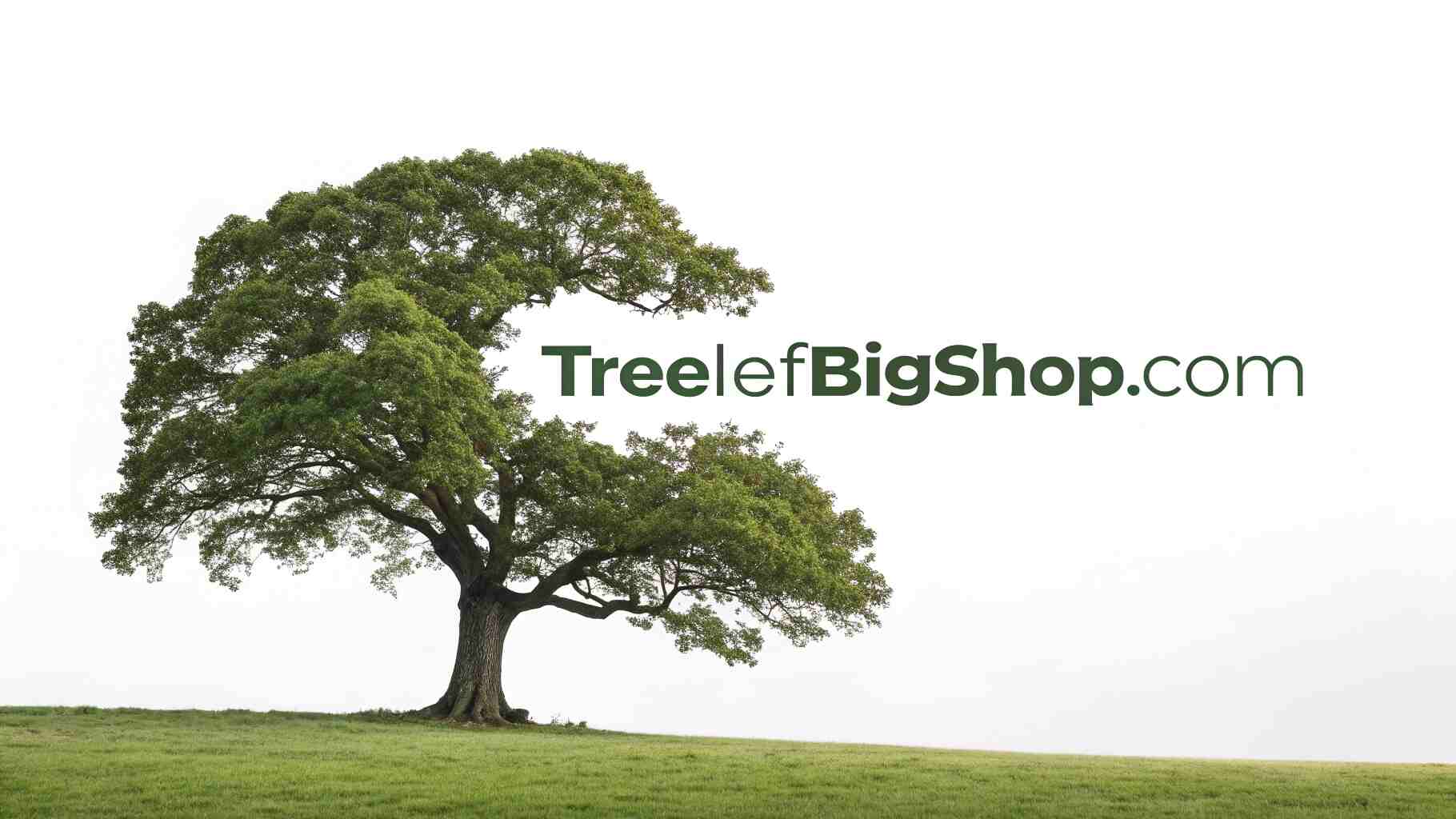 TreeLeftBigShop.com